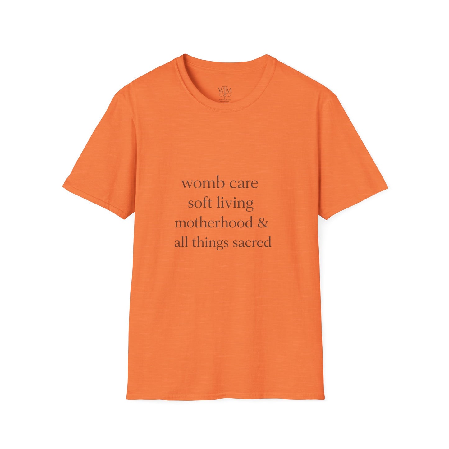 Motherhood Affirmation T-Shirt — “womb care soft living motherhood & all things sacred”